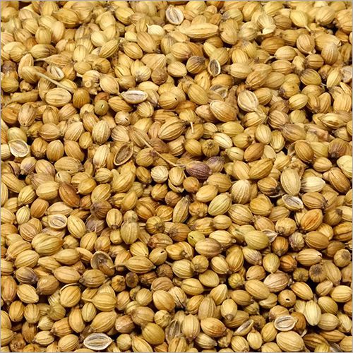 Organic Dhania Coriander Seeds 100g