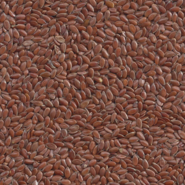 Organic Javas Flax Seeds