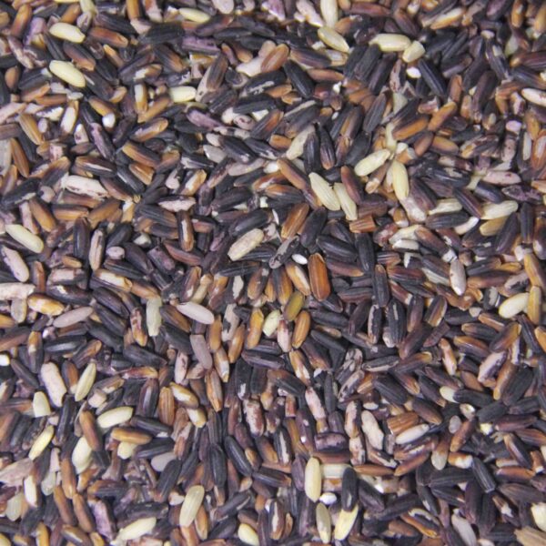 Organic Black Rice