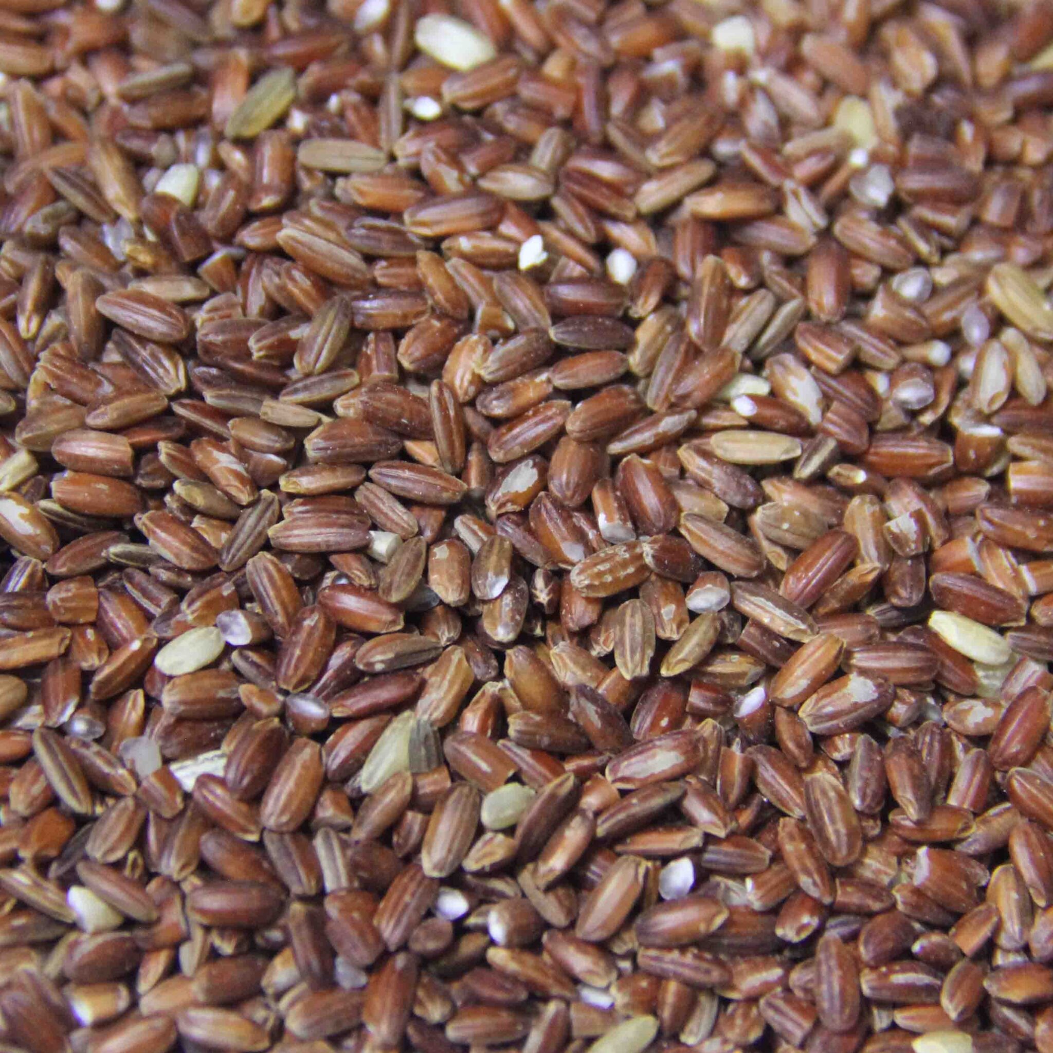 Organic Red Rice