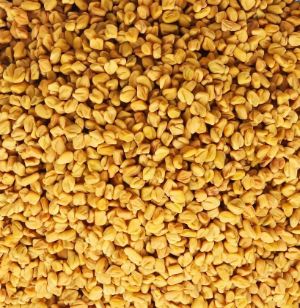 Organic Methi Fenugreek 100g