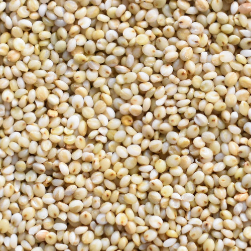 Organic Browntop Millet 1kg